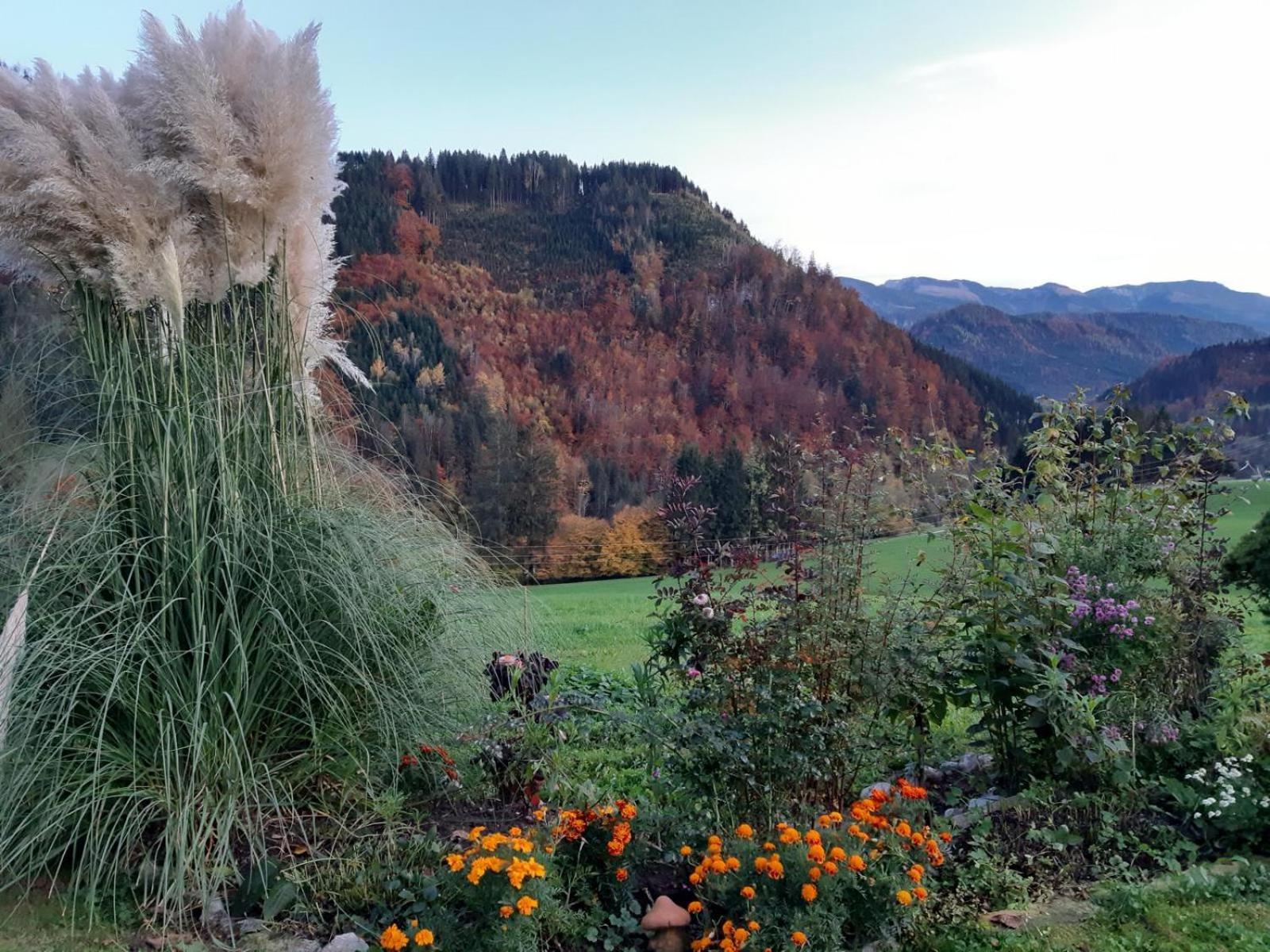 Biobauernhof Poidlbauer Villa Goestling an der Ybbs Exterior photo