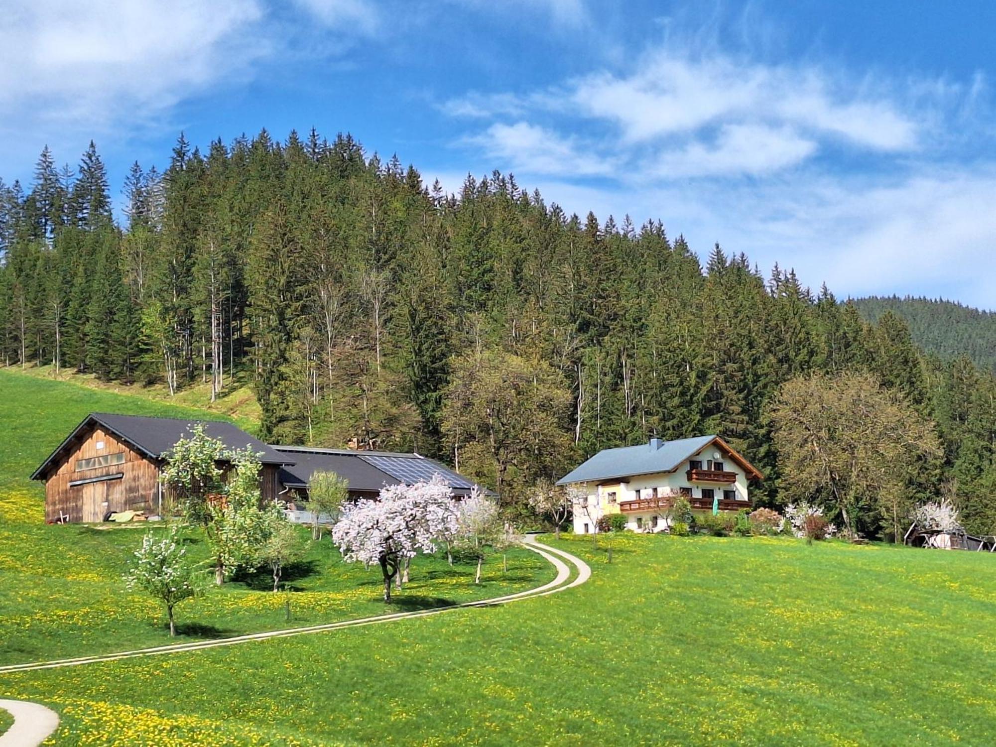 Biobauernhof Poidlbauer Villa Goestling an der Ybbs Exterior photo